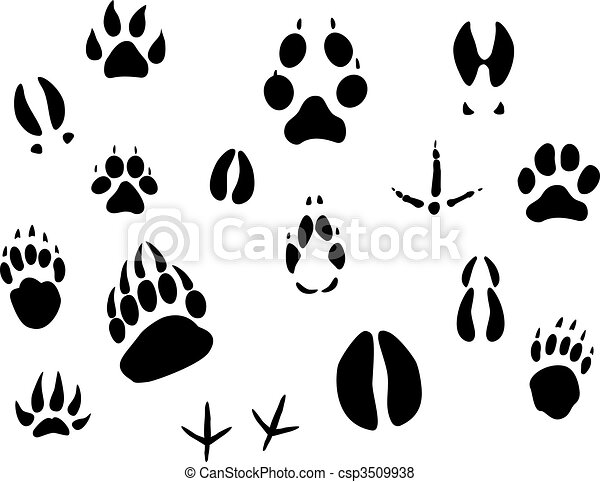 Detail Animal Footprints Clip Art Nomer 43