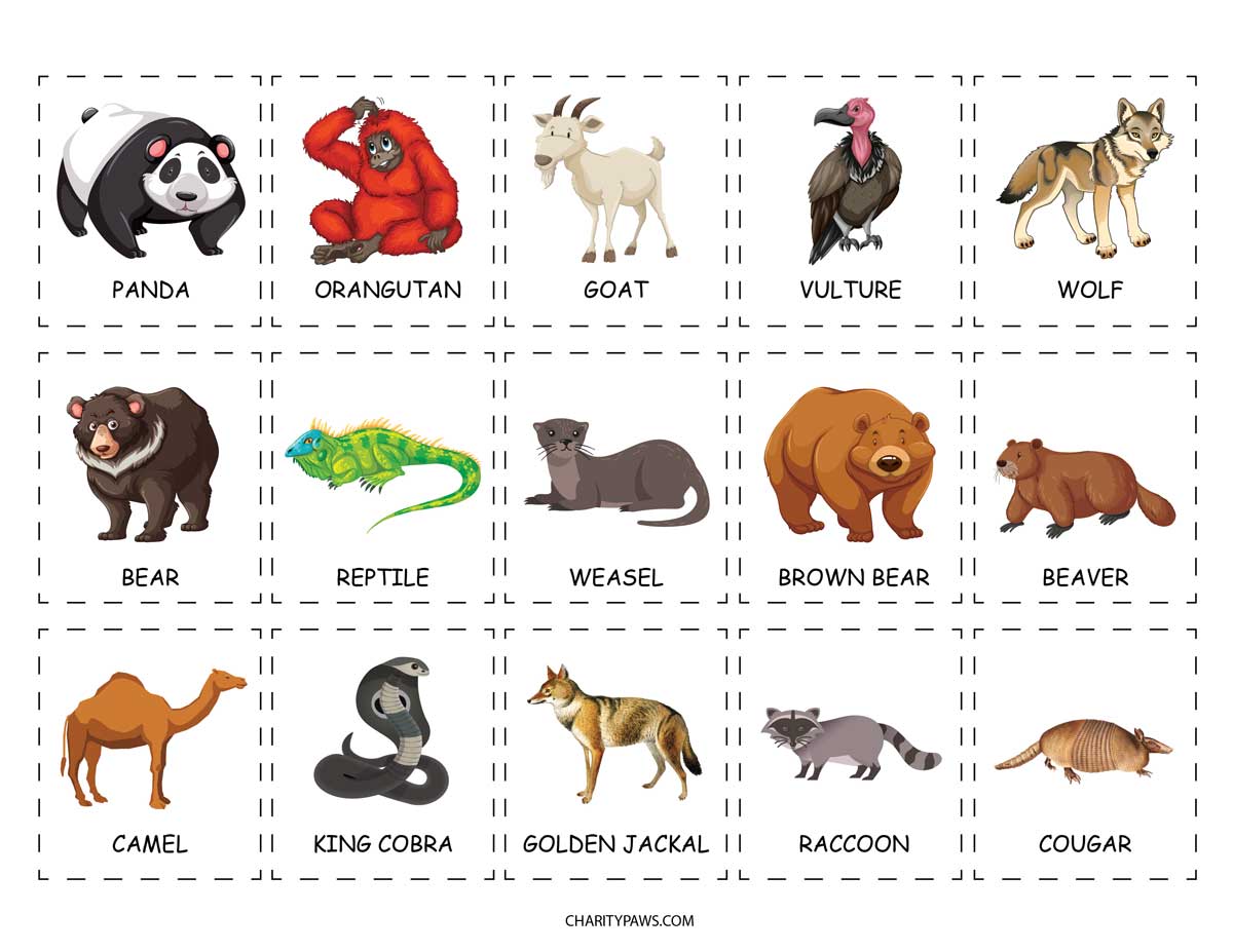 Detail Animal Images Free Download Nomer 32