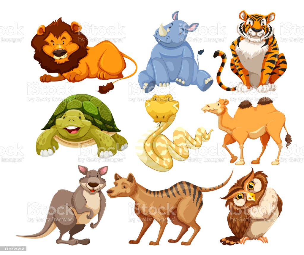 Detail Animal Images Free Download Nomer 54