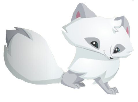 Detail Animal Jam Artic Fox Nomer 15