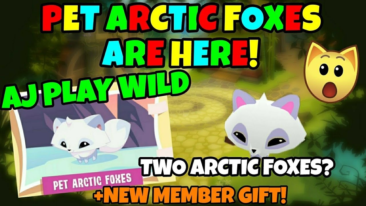 Detail Animal Jam Artic Fox Nomer 52