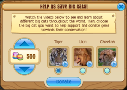 Detail Animal Jam Cheetah Codes Nomer 43