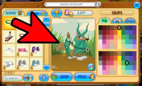 Detail Animal Jam Outfits For Arctic Wolves Nomer 16