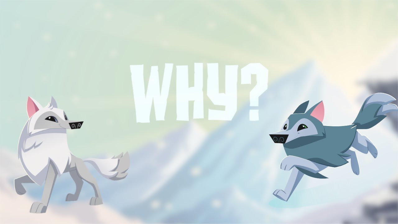 Detail Animal Jam Pictures Of Arctic Wolves Nomer 22