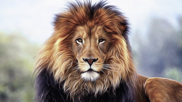 Detail Animal Lion Images Nomer 14