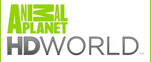 Detail Animal Planet Hd Logo Nomer 18