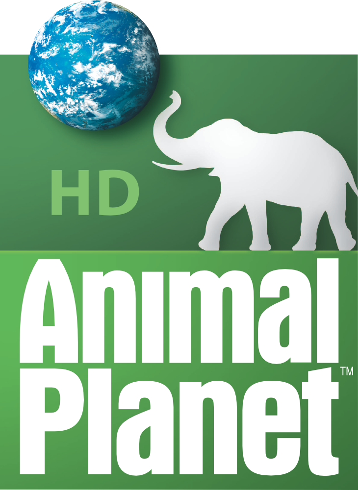 Detail Animal Planet Hd Logo Nomer 4