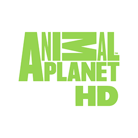 Detail Animal Planet Hd Logo Nomer 33