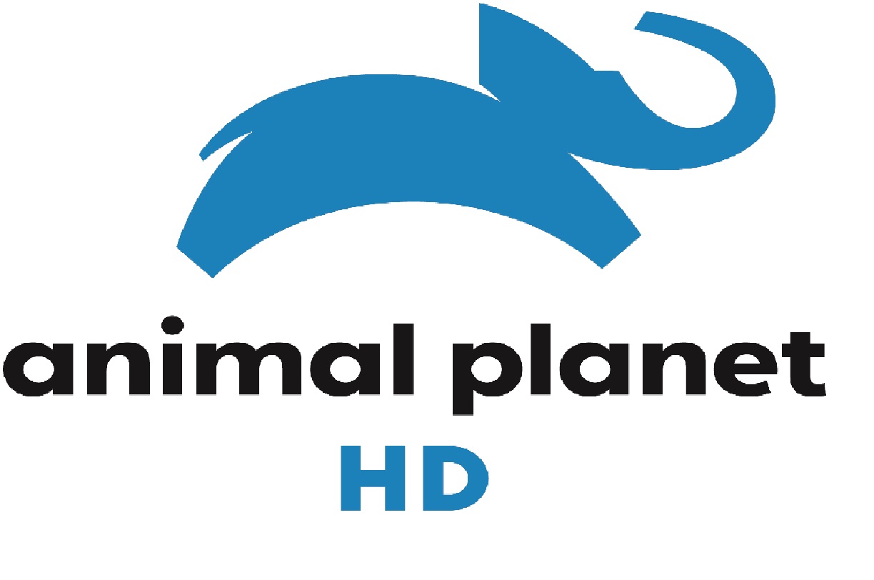 Detail Animal Planet Hd Logo Nomer 35