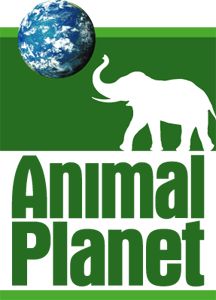 Detail Animal Planet Hd Logo Nomer 37