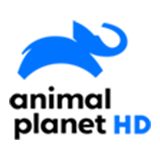 Detail Animal Planet Hd Logo Nomer 56