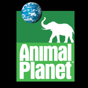 Detail Animal Planet Hd Logo Nomer 57