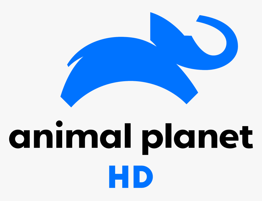 Detail Animal Planet Hd Logo Nomer 10