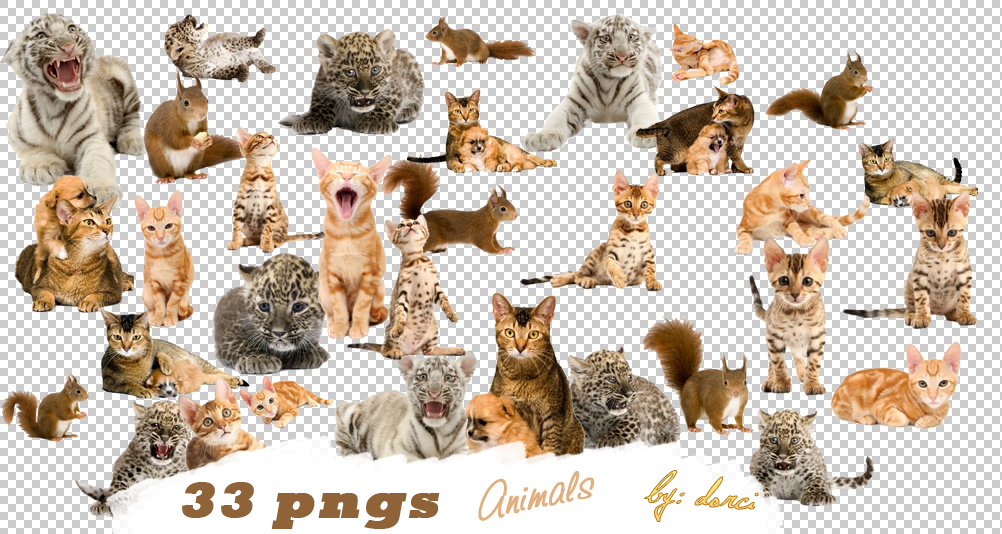 Detail Animal Png Images Nomer 26