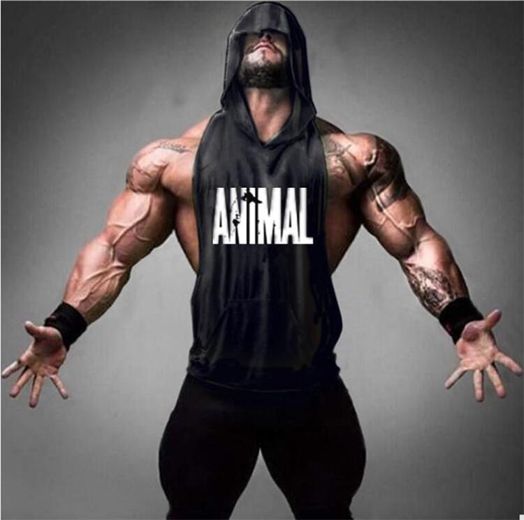 Detail Animal T Shirts Bodybuilding Nomer 21