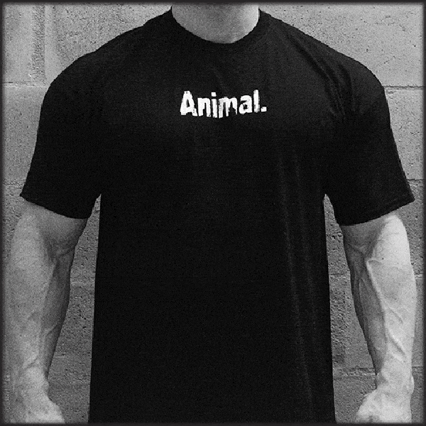 Detail Animal T Shirts Bodybuilding Nomer 38