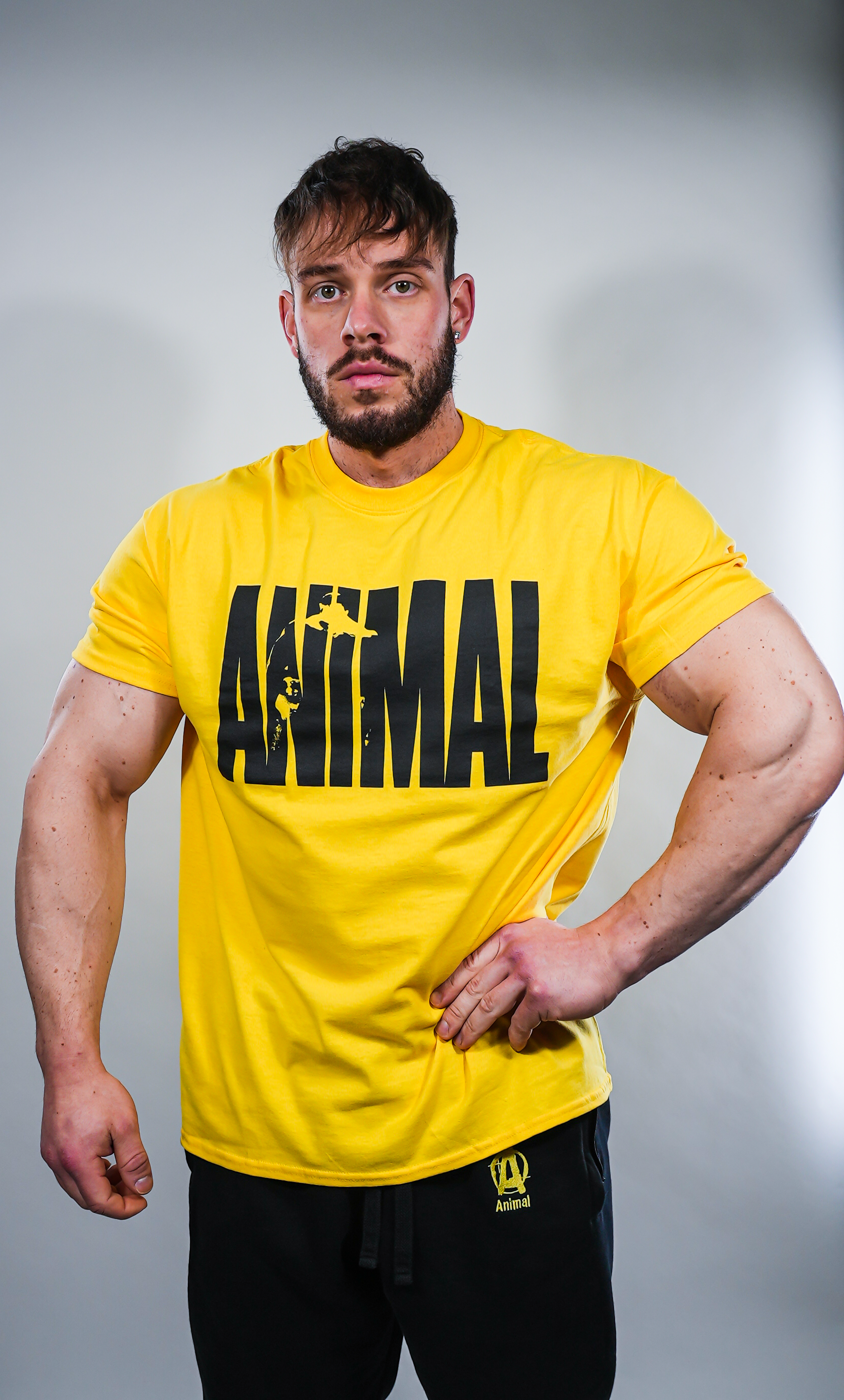 Detail Animal T Shirts Bodybuilding Nomer 41