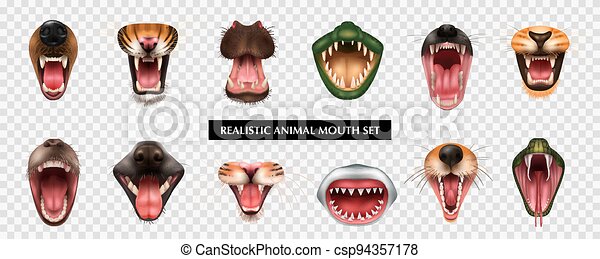 Detail Animal Teeth Clipart Nomer 35