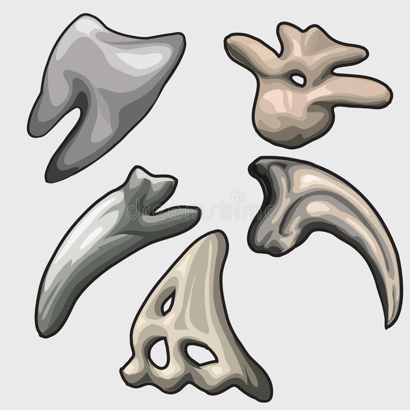 Detail Animal Teeth Clipart Nomer 39