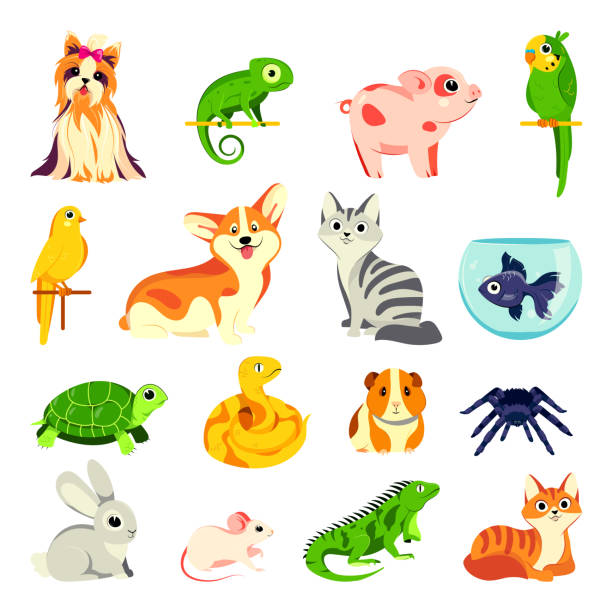 Detail Animales Clipart Nomer 12