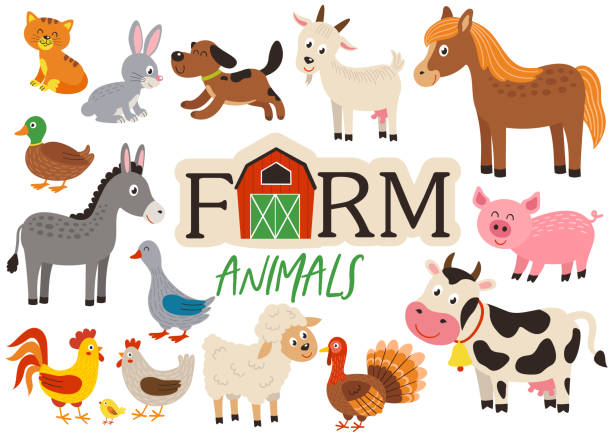 Detail Animales Clipart Nomer 41