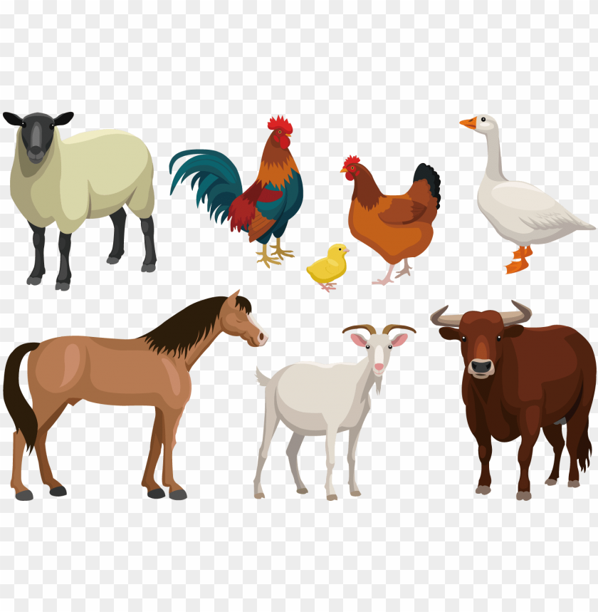 Detail Animales Png Nomer 34