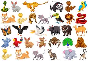 Detail Animals Image Free Download Nomer 17