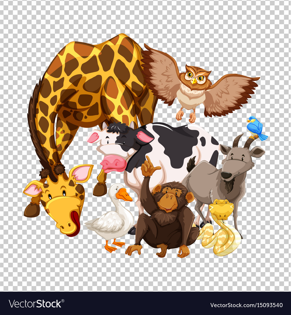 Animals Transparent Background - KibrisPDR