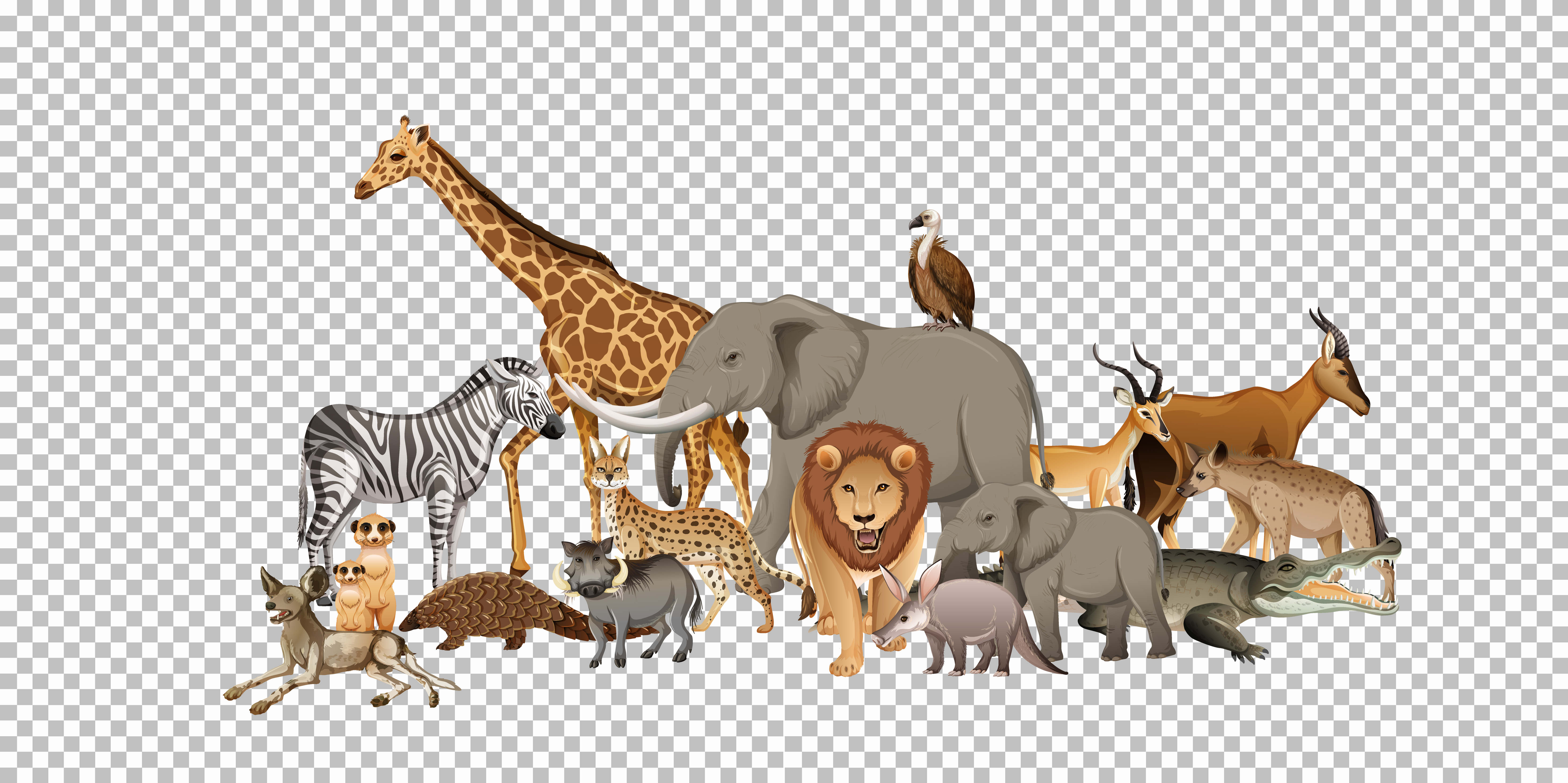 Detail Animals Transparent Background Nomer 3