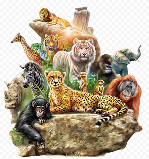 Detail Animals Transparent Background Nomer 5