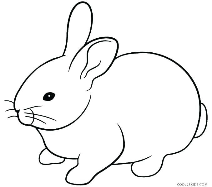 Detail Kaninchen Bilder Zum Ausdrucken Nomer 14