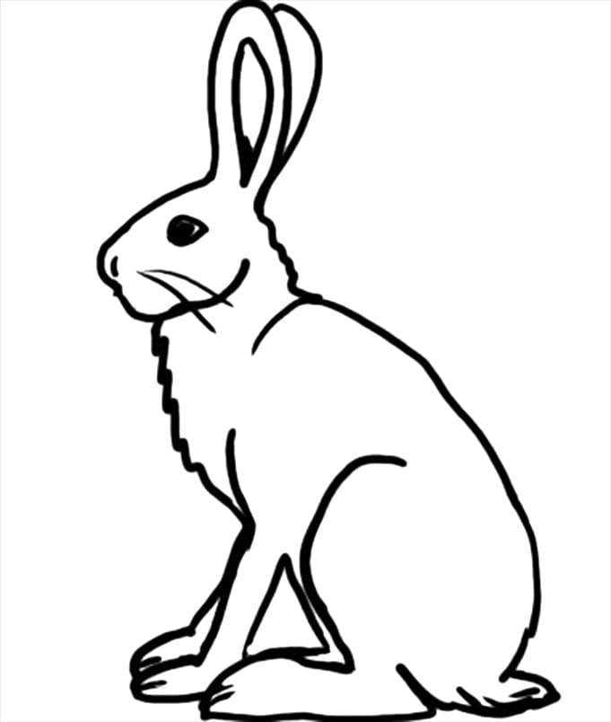 Detail Kaninchen Bilder Zum Ausdrucken Nomer 15