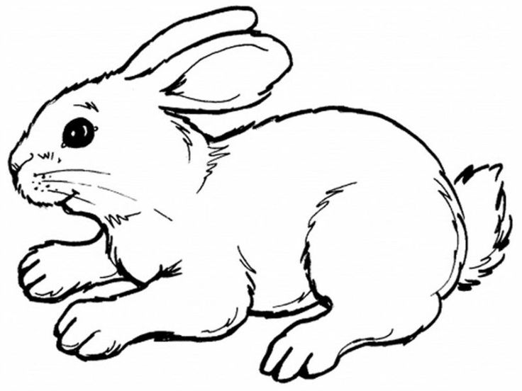 Detail Kaninchen Bilder Zum Ausdrucken Nomer 6
