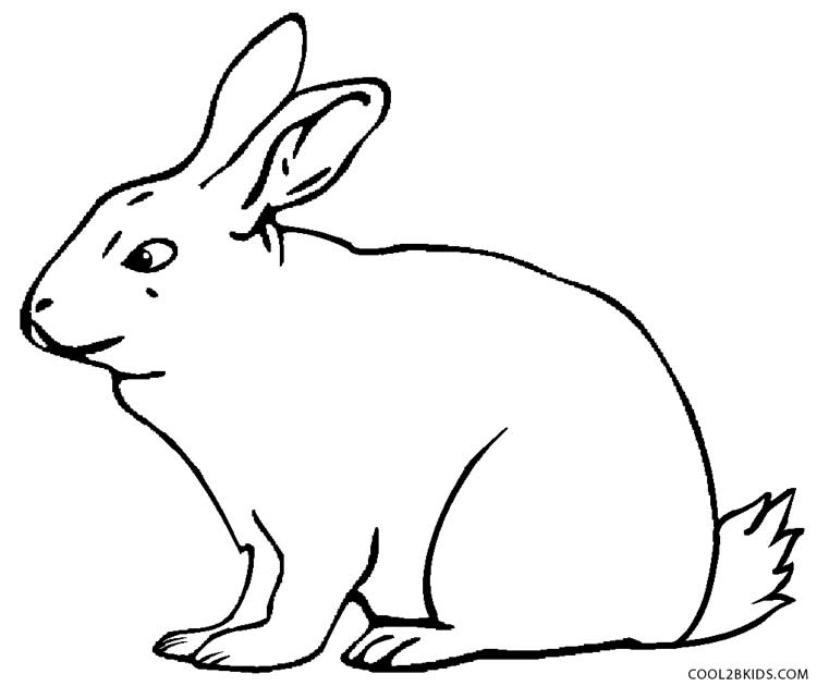 Detail Kaninchen Bilder Zum Ausdrucken Nomer 8
