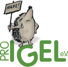 Detail Albino Igel Nomer 7