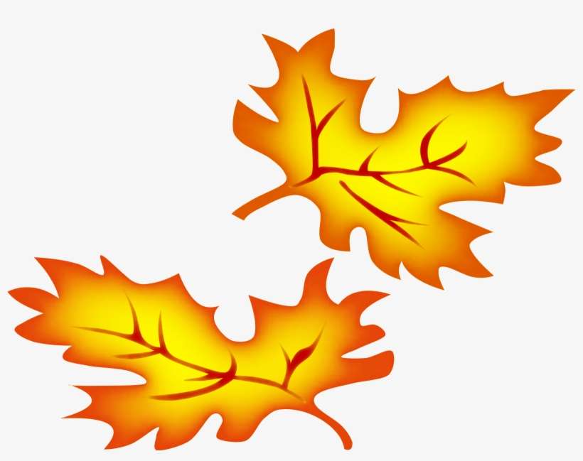 Detail Autumn Leaves Clipart Transparent Background Nomer 8