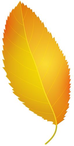 Detail Autumn Leaves Clipart Transparent Background Nomer 14