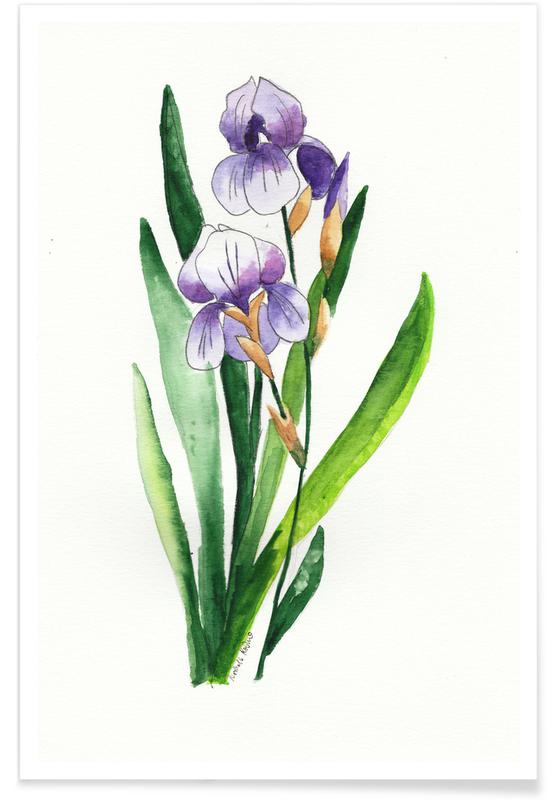 Detail Bilder Iris Nomer 2