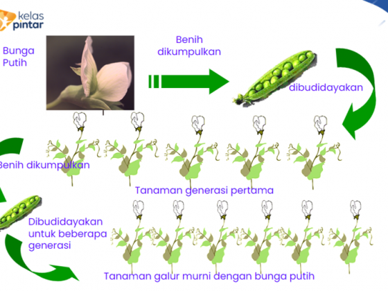 Detail Contoh Merancang Novel Nomer 36