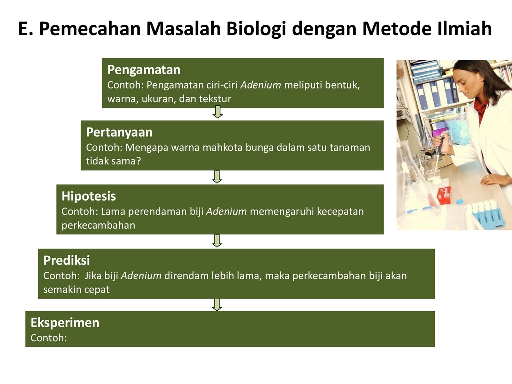 Detail Contoh Metode Ilmiah Biologi Nomer 46