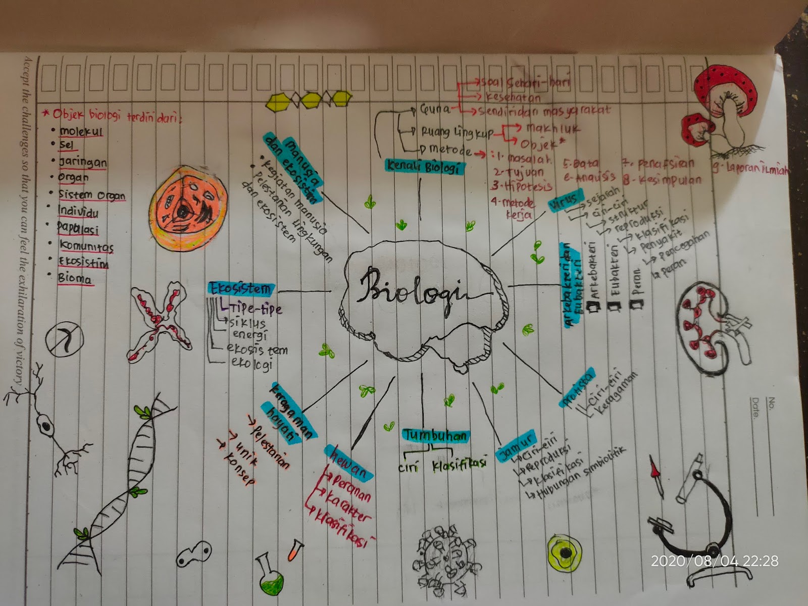 Contoh Mind Mapping Biologi - KibrisPDR