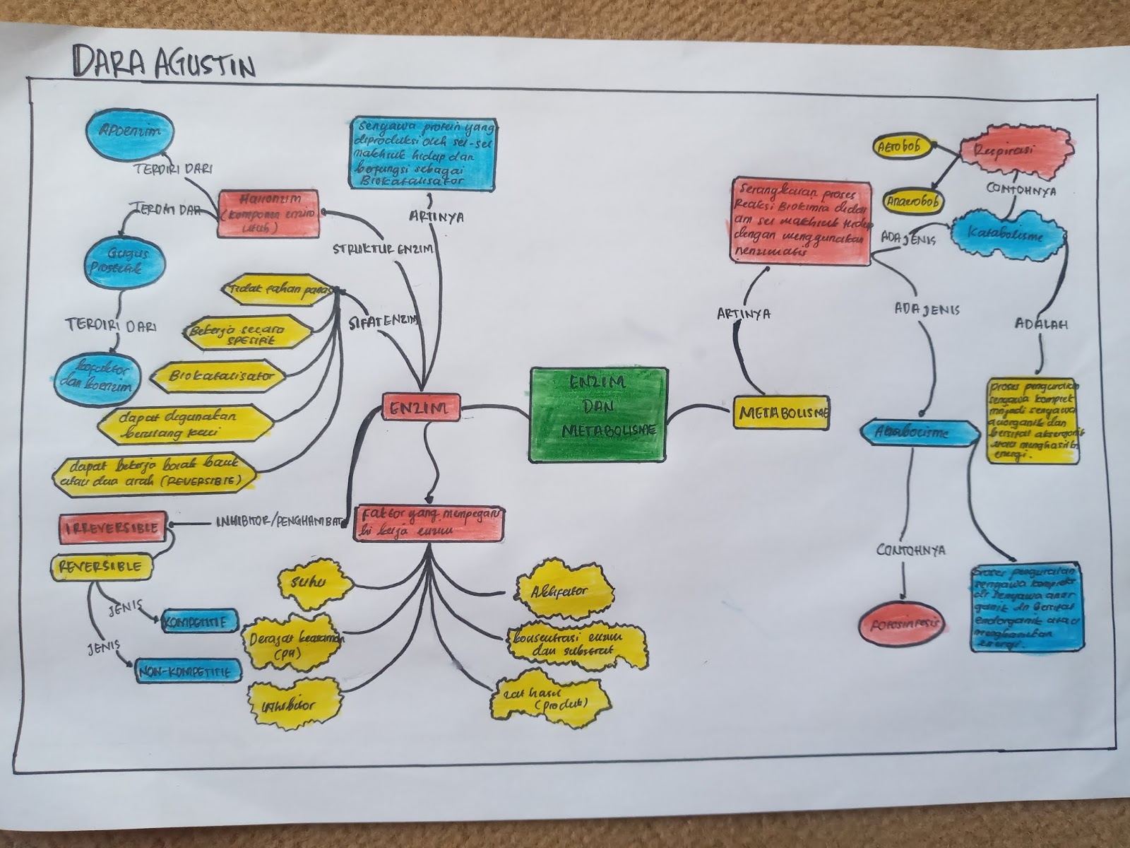 Detail Contoh Mind Mapping Biologi Nomer 17