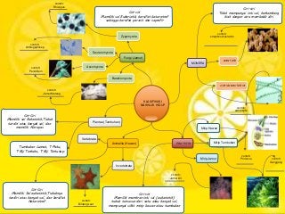 Detail Contoh Mind Mapping Biologi Nomer 34