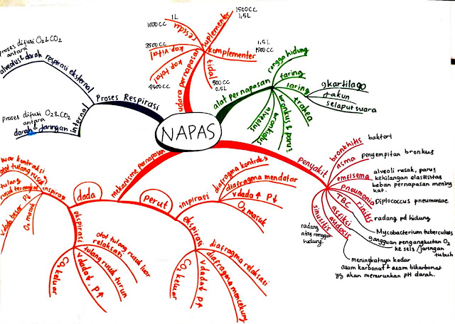 Detail Contoh Mind Mapping Biologi Nomer 38