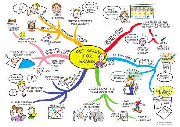 Detail Contoh Mind Mapping Biologi Nomer 40