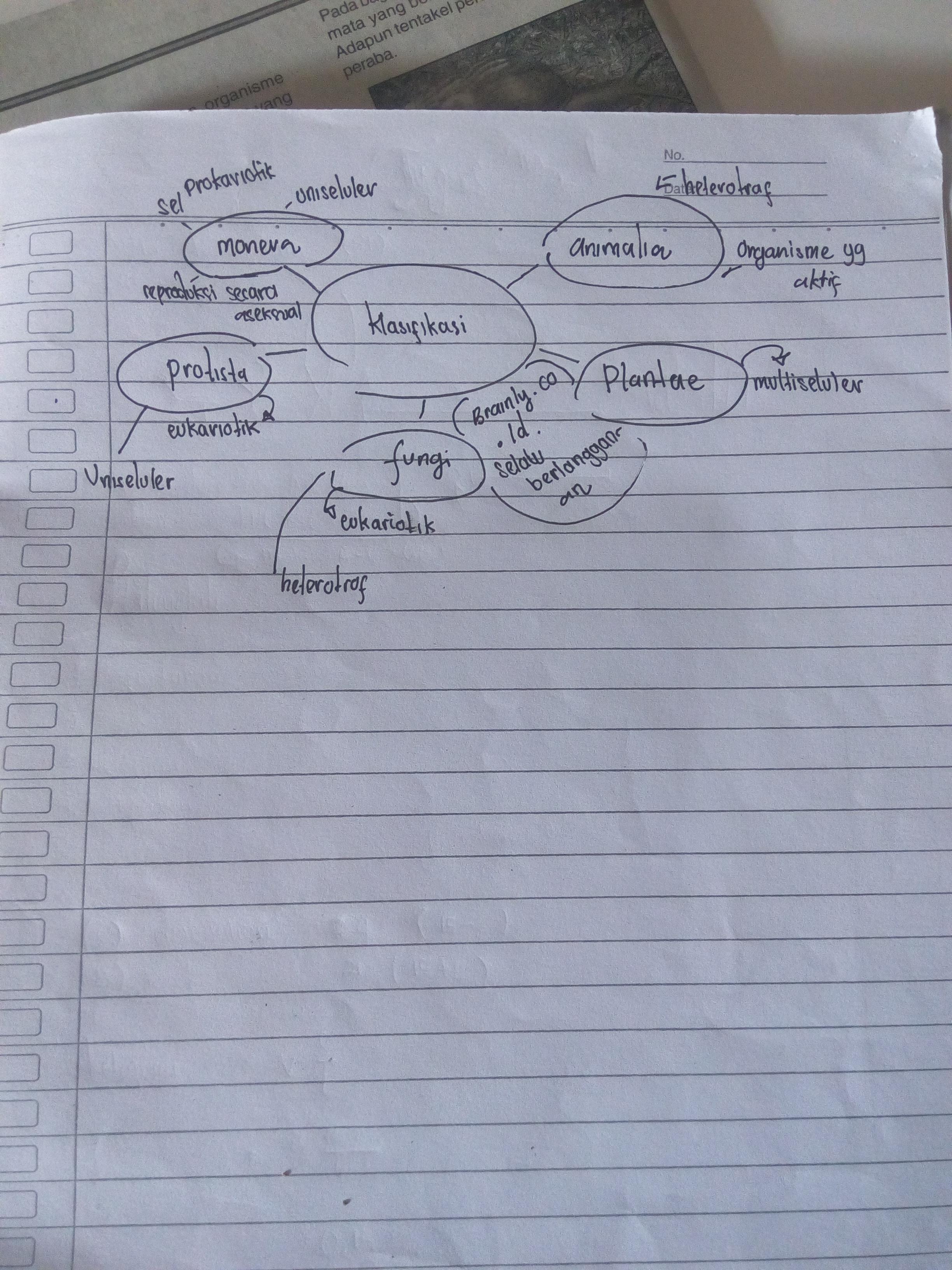 Detail Contoh Mind Mapping Biologi Nomer 45