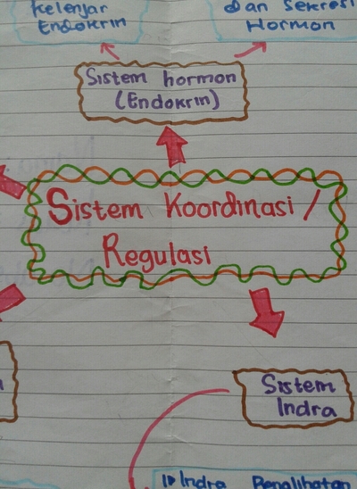 Detail Contoh Mind Mapping Biologi Nomer 6