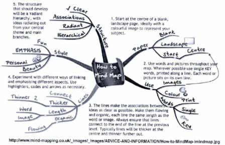 Detail Contoh Mind Mapping Biologi Nomer 7