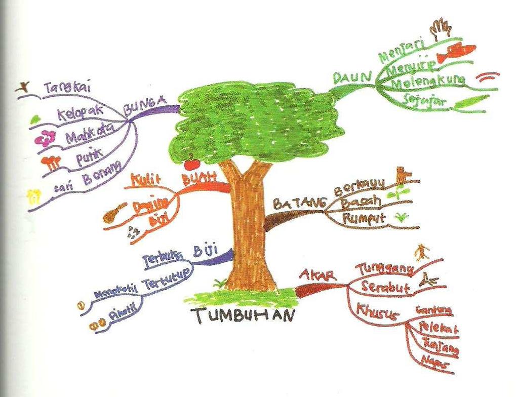 Detail Contoh Mind Mapping Ipa Nomer 19