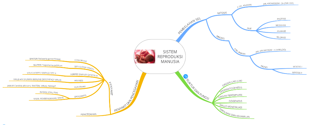 Detail Contoh Mind Mapping Ipa Nomer 51